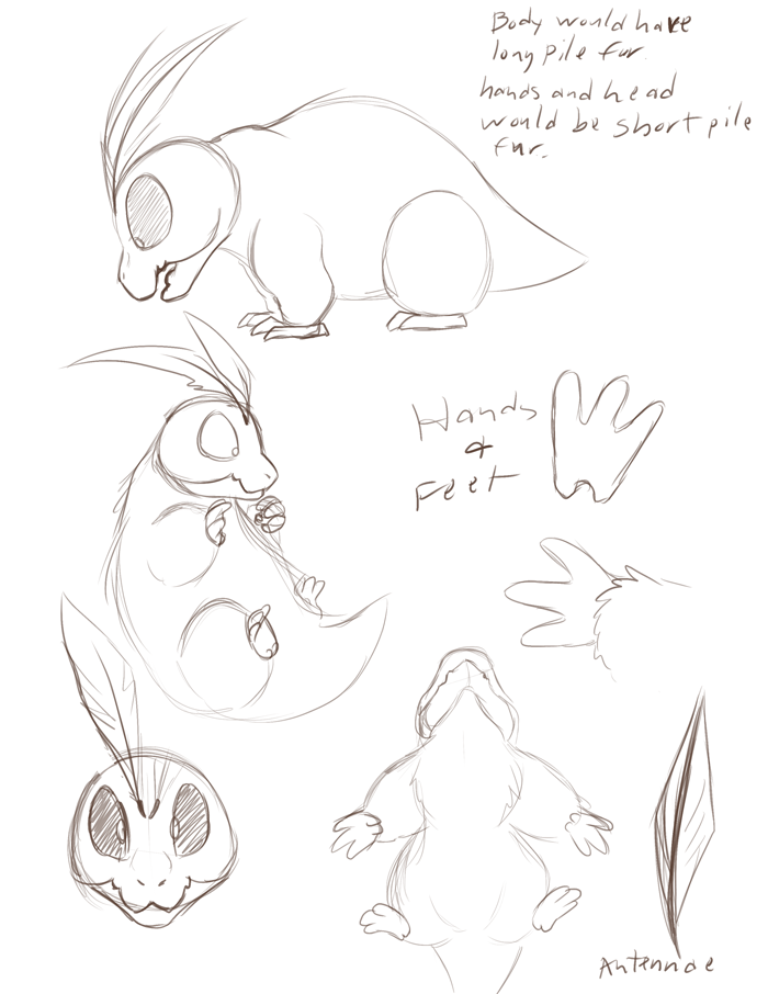 Anatomy reference for Chirrs. — Art by Foxena