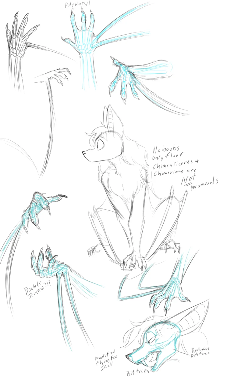 Chimerian anatomy studies. — Art by Foxena